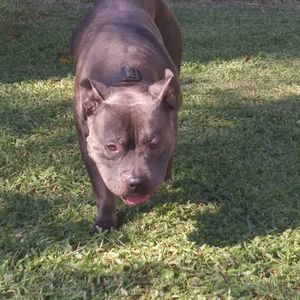 Meet your Posher, Robert